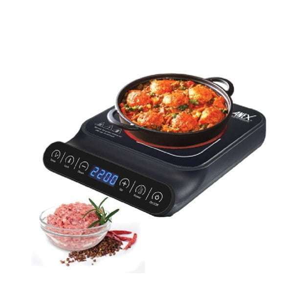 Anex Deluxe Hot Plate AG 2166 04