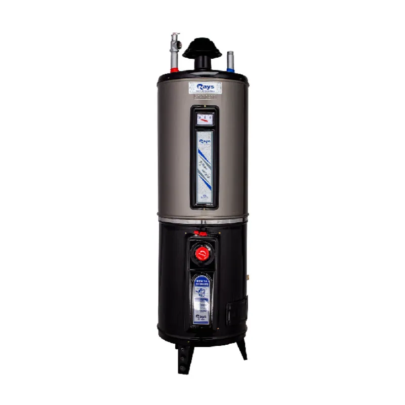 Rays 25 Gallons Electric & Gas Storage Geyser 25G Deluxe Twin Rays 25 Gallons Electric & Gas Storage Geyser 25G Deluxe Twin
